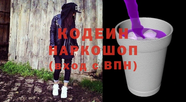 гашик Арсеньев